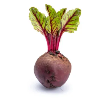 Fresh Beetroot 